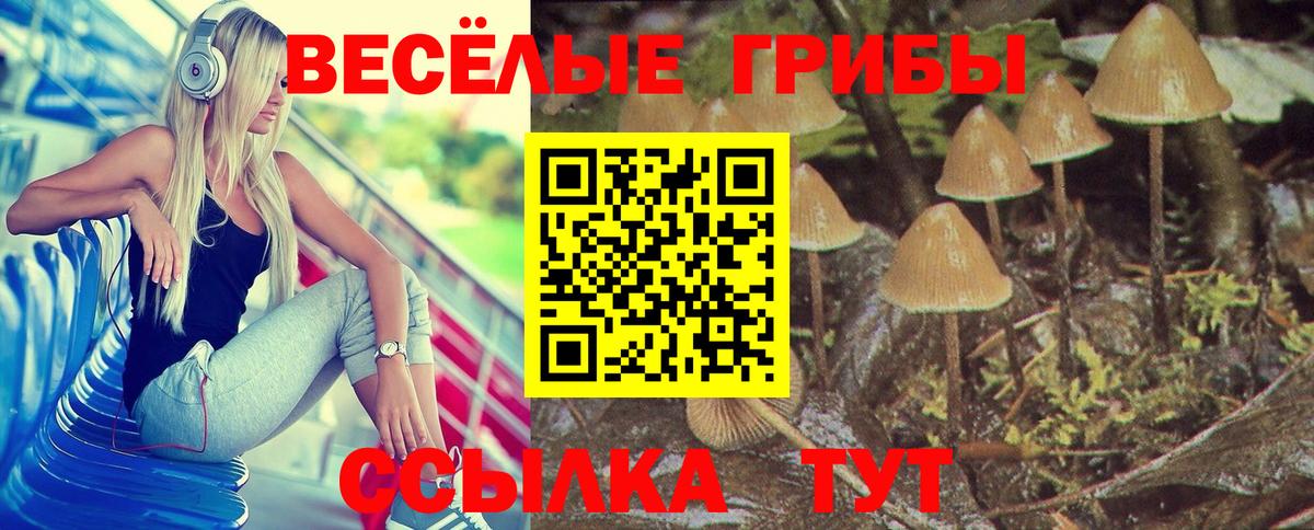 Тавда  Галлюциногенные грибы MAGIC MUSHROOMS  Вход с VPN 